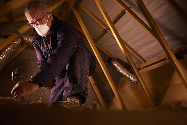 Best Insulation Installation Services in Forty Fort, PA